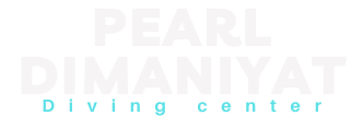 PD-logocopy-2-e1745934533455